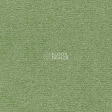 Ковролин Radici Nexus Lichene 8225 фото 1 | FLOORDEALER